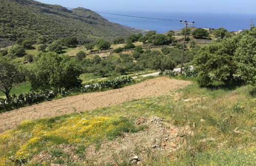 RURAL GUEST HOUSE, quiet stay in nature with Sea view - Foto 58