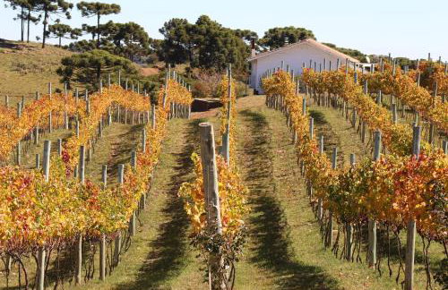 Tenuta Bergamaschi - Foto 35