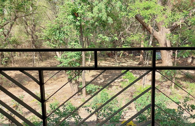 Palm Beach Inn - Foto 9