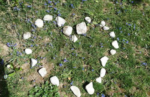 Ferienwohnung im Seidlerhof mit Terrasse - Foto 33