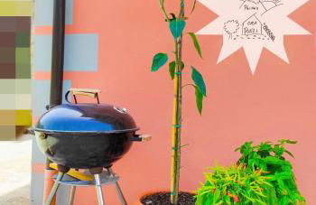 Pizinno CasaPonzi - Foto 16