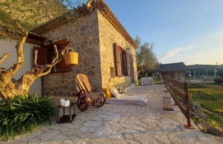 homonatura petrinum - Foto 17