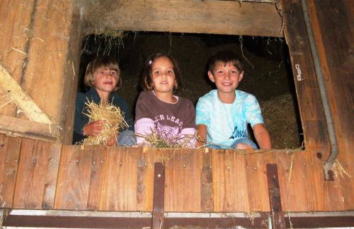 Ferienhof Settele - Foto 6