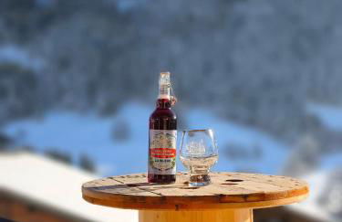 Au Chalet Le Péry, vue sur le Mont de Grange - Foto 41