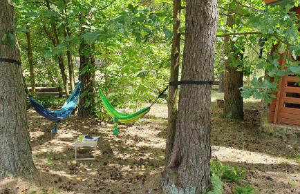 Mazurzanka - Leśny Domek w Bajkowym Zakątku - Foto 4