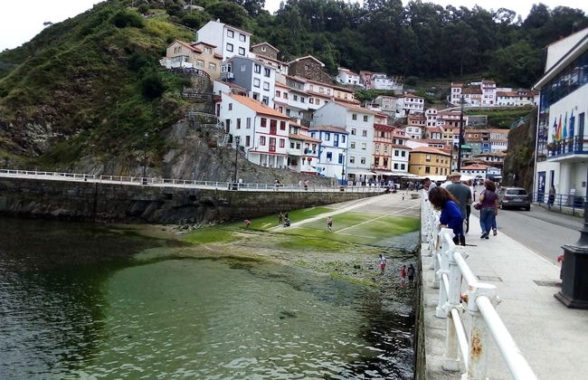 LA Nana DEL MAR Flat on the old Port of Cudillero - Photo 77