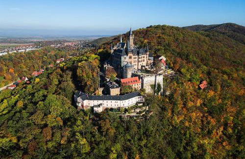 Ferienhaus Nr 32, Typ A, Ferienanlage Blauvogel, Hasselfelde, Harz - Foto 21