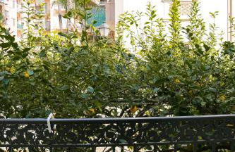 Dépendance La Casetta - Foto 39