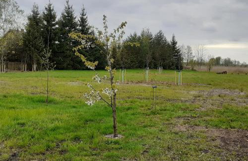 Beautiful holiday home in Masuria on river and lake - Foto 35