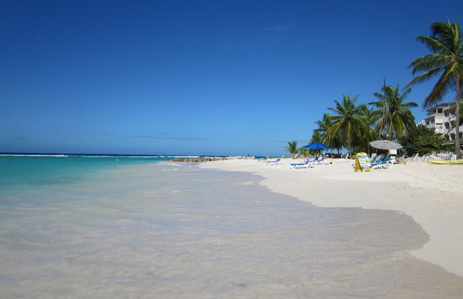 Melrose Beach Apartments - Foto 22