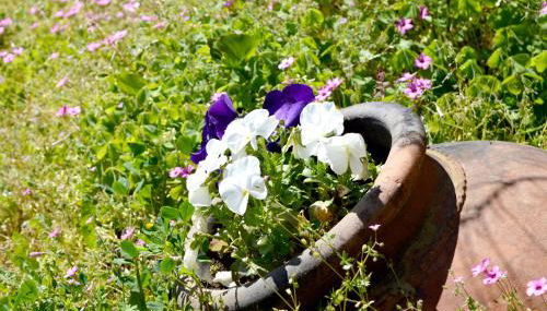 Casa Valeriana - Foto 5, Garden