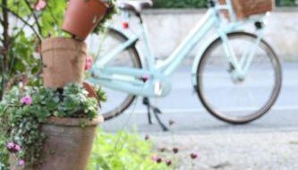 Ferienwohnung Gartenreich - Foto 4, Garden