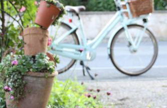 Ferienwohnung Gartenreich - Foto 4