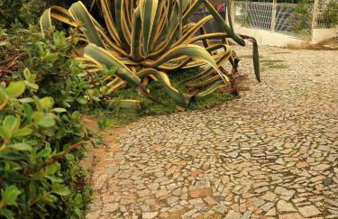 Casa das 3 Palmeiras - Foto 38