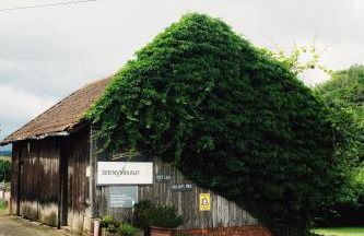 Ferienwohnung Weinträumerei - Foto 11