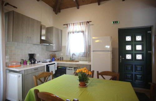 Boletus MushROOM - Foto 6