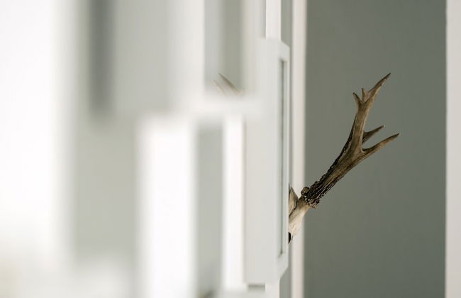 Italianway - Melzo - Foto 17