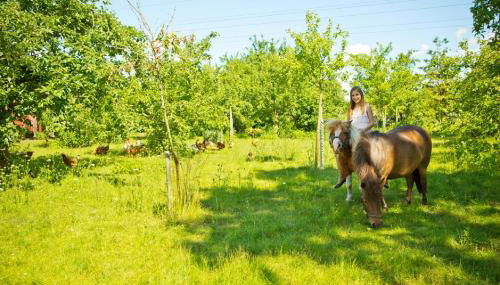 Ferienhof Ebsen - Foto 3, Garden