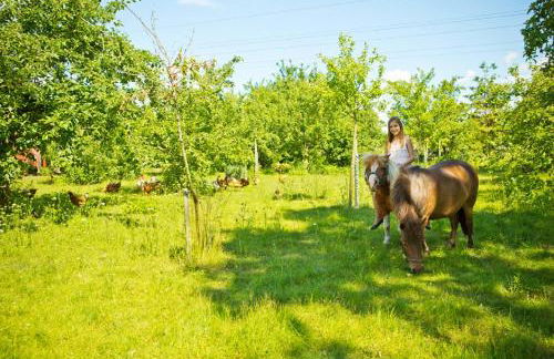 Ferienhof Ebsen - Foto 3