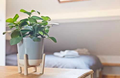 Malleus House - Foto 73