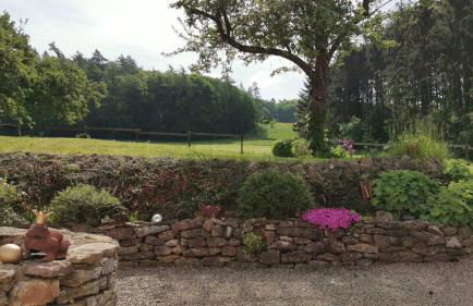 Ferienhaus Vulkaneifel Landhaus Loogh - Foto 6