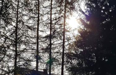 Kraina Rysia - Photo 37