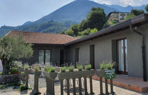 Agriturismo Il Moro - Foto 8