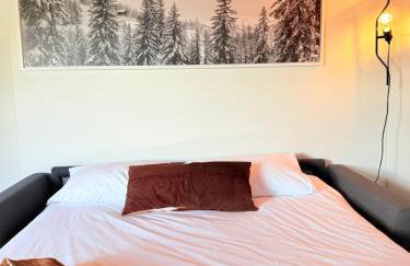 Maison Poluc - Maison Monte Rosa - Foto 45