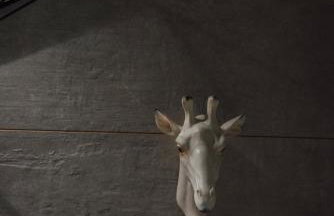 Domek w lesie nad zalewem - Foto 39