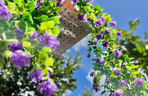 CasaVacanze NiGiNo - Foto 58