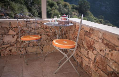 Tutti Fruti - Foto 10