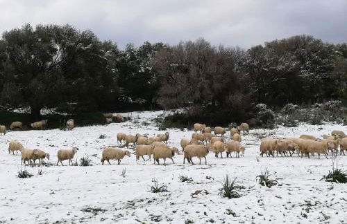 Agriturismo La Rocca Manna - Foto 16