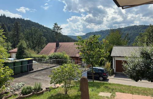 Cozy apartment with a Black Forest view - Foto 25