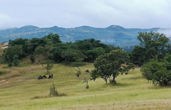 AtNature Luxury Self Catering Cottages - Photo 63