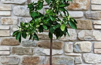 Relais Parco Del Subasio - Photo 48