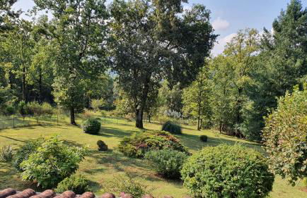 Salamandre 2 proche de Sarlat de 1 à 5 personnes - Foto 50