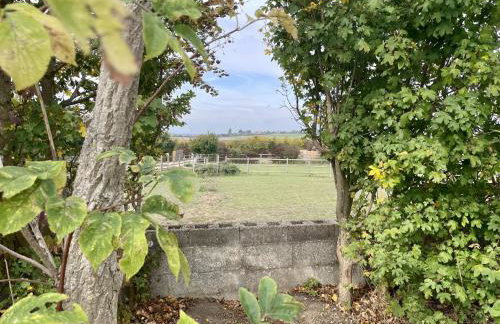 MegaPod 1 at Lee Wick Farm Cottages & Glamping - Foto 16