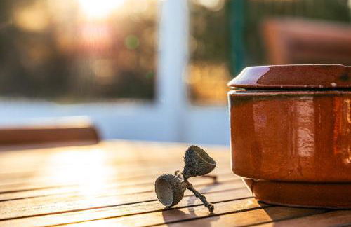 Vila Bita Agroturismo - Foto 20