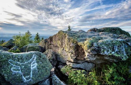 bergwärts - Foto 17