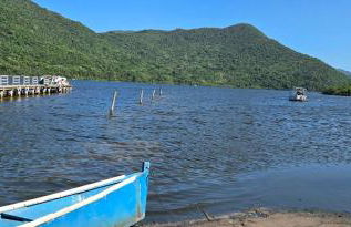 Recanto Dos Vargas - Seu refúgio em Floripa com atendimento dos anfitriões - Foto 12