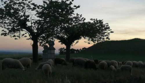 Casa do Ti Messias - Foto 4