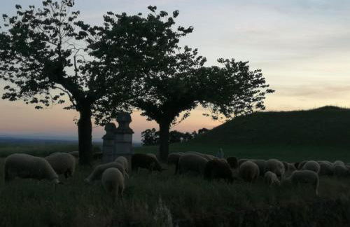 Casa do Ti Messias - Foto 4