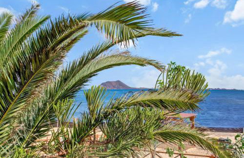 Silvic Serenada - Photo 29