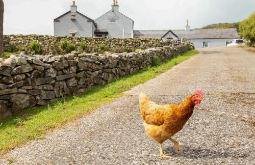 Gorse Hill Farm - Photo 28