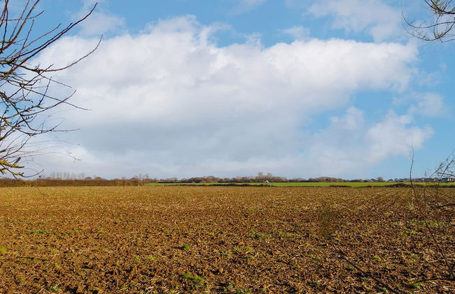 Designer Seaside Escape King Beds Scenic View - Foto 37