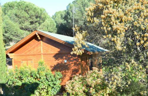Apartamentos Paraje San Gines - Foto 47