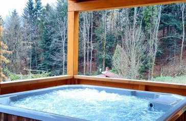 Willa Wilk - Foto 14