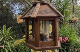 La Rose & Le Loup - Foto 27