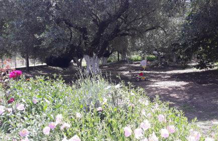 Nikitas Apartment - Foto 49