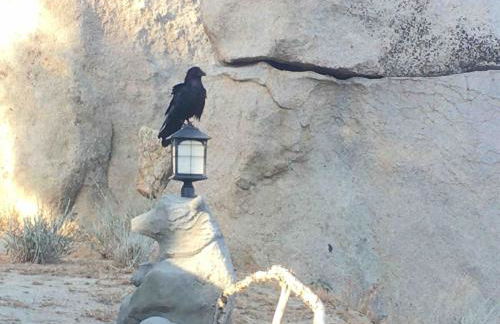 Epic View Hot tub National forest - Foto 34